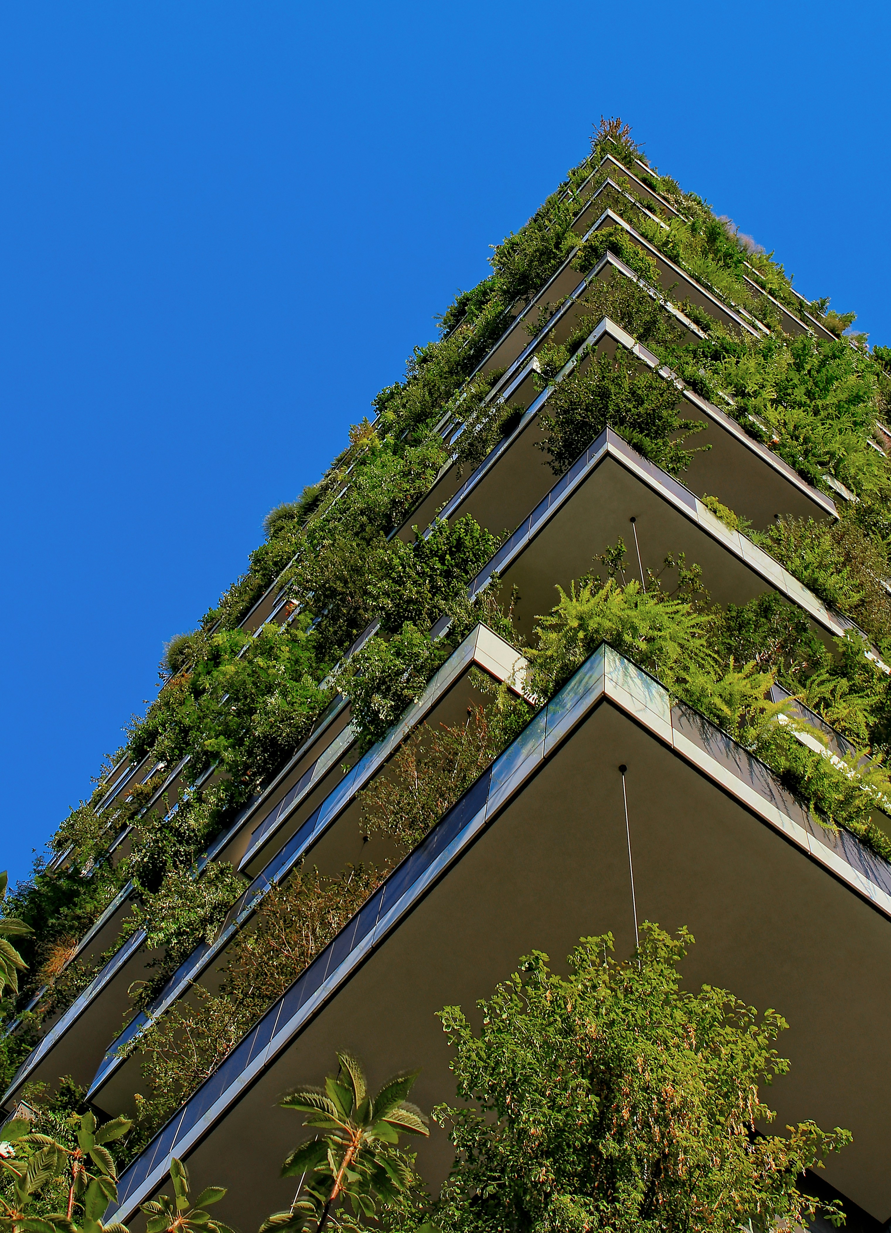 Sustainable building with green features and energy efficiency