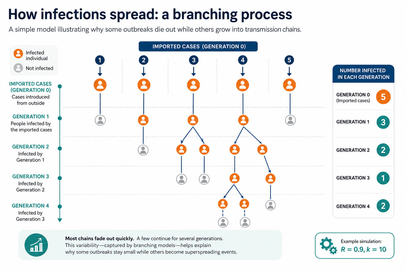 Branching tree diagram showing how infection spreads through a population — illustrating the difference between typical transmission chains and superspreading events