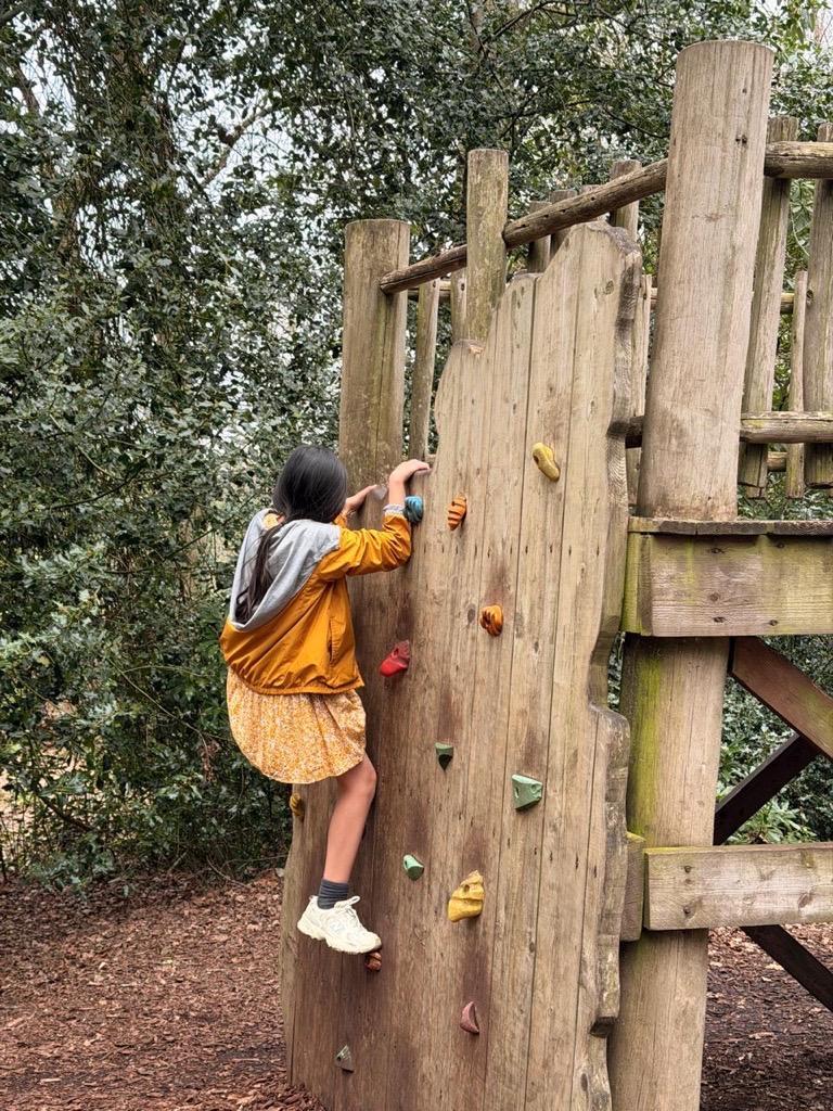 Child-Friendly Environments — healthy buildings for children