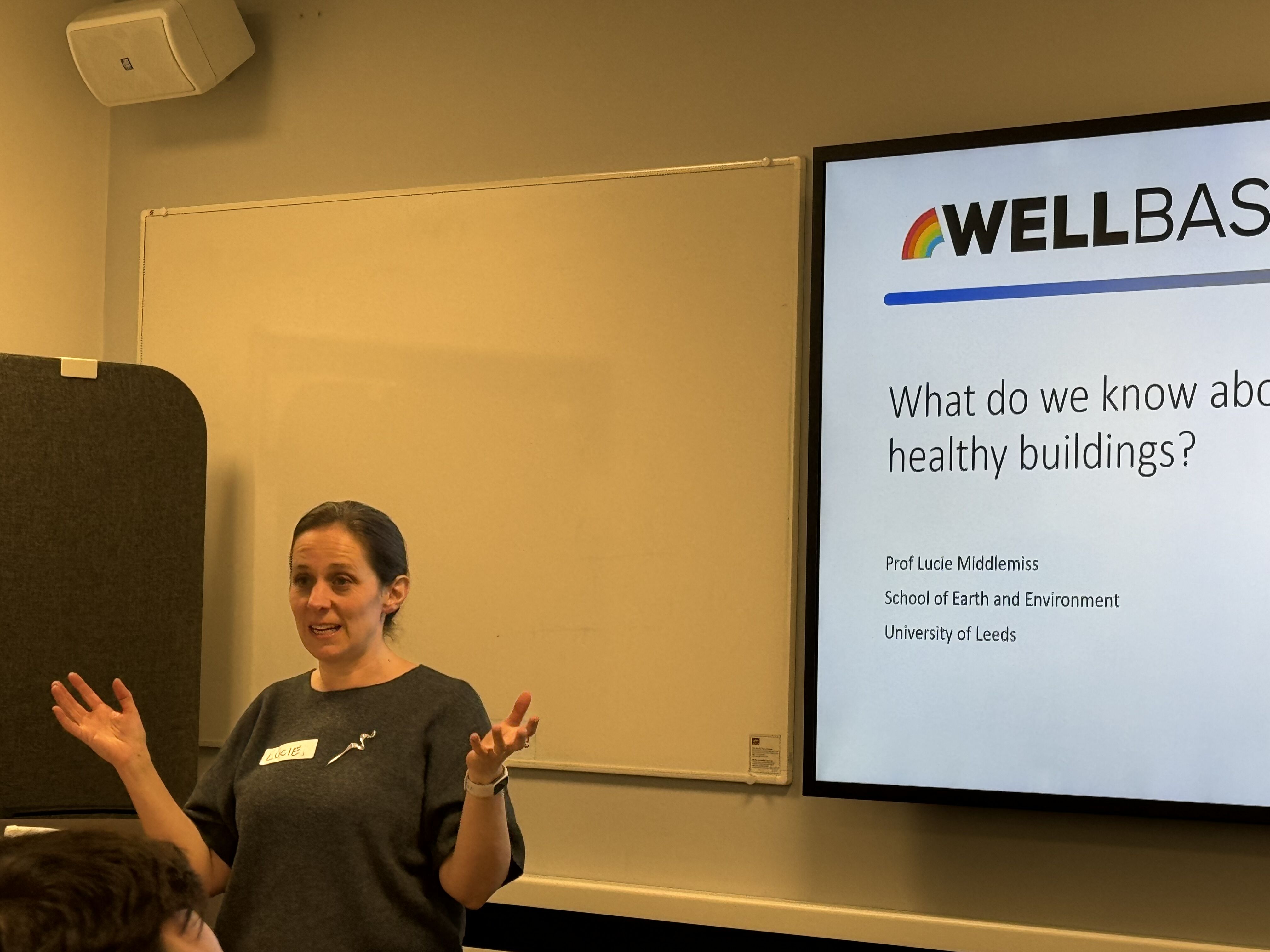 Prof Lucie Middlemiss presenting 'What do we know about healthy buildings?'